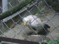 IMGP0861.JPG